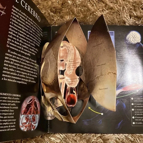 El Cuerpo Humano: Guía Interactiva Del Funcionamiento Del Cuerpo Albumes Deluxe - Picture 2 of 5
